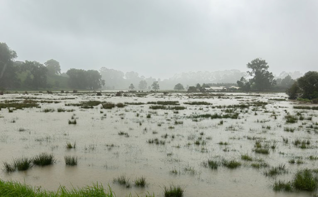 Leased land impacted by Cyclones Hale and Gabrielle