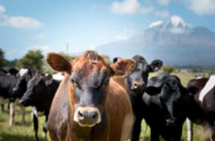 Rural eSpeak Summer 2025