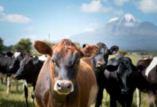 Rural eSpeak Summer 2025